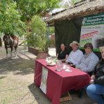 conf chancho con pelo2