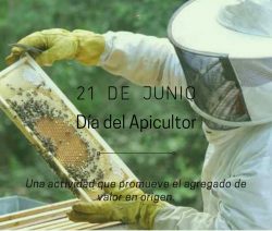 dia del apicultor..... (1)