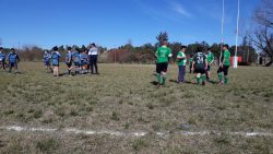 rUGBY 5