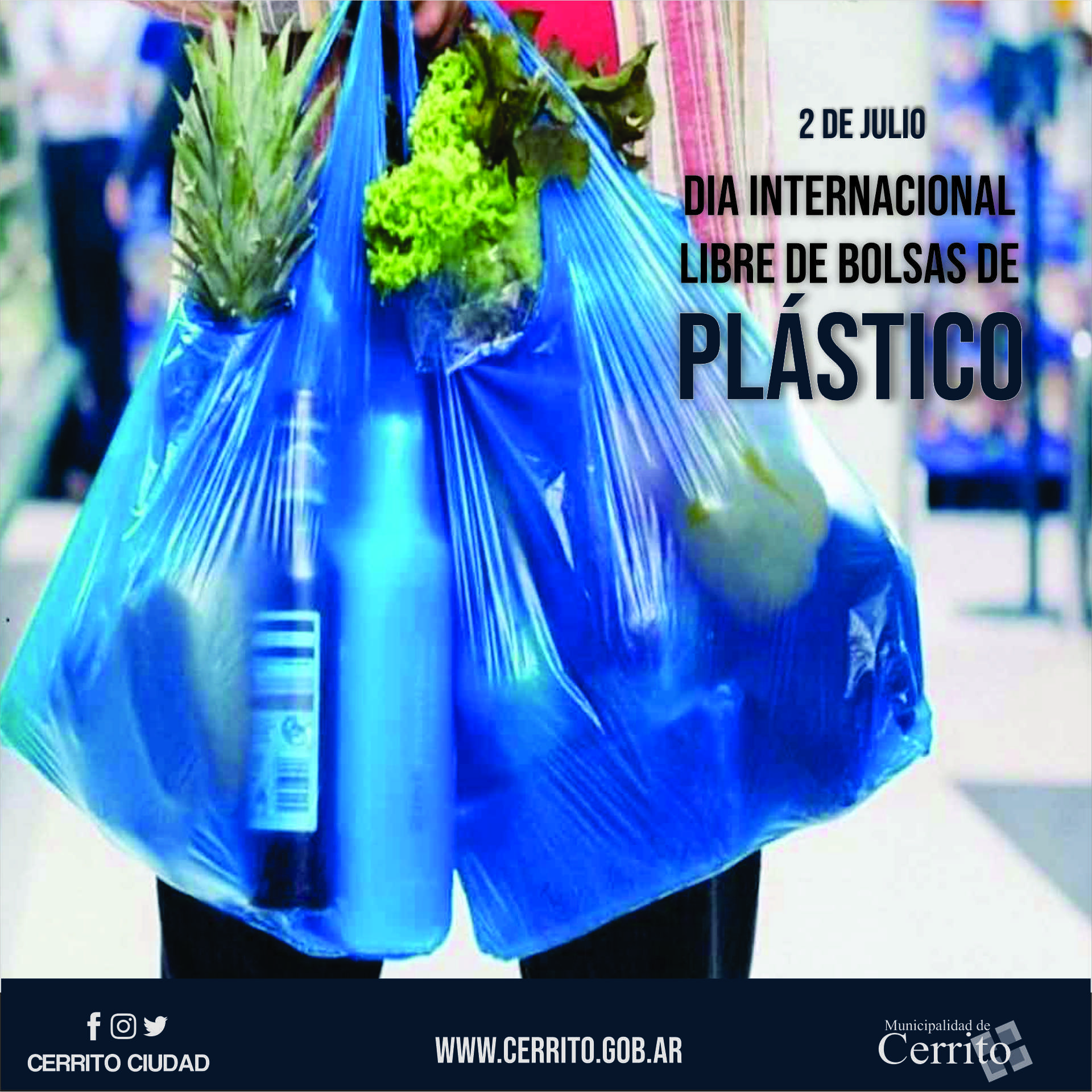Día internacional libre de bolsas plásticas
